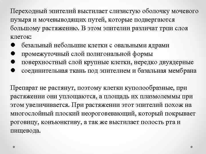 Переходный эпителий выстилает слизистую оболочку мочевого пузыря и мочевыводящих путей, которые подвергаются большому растяжению.