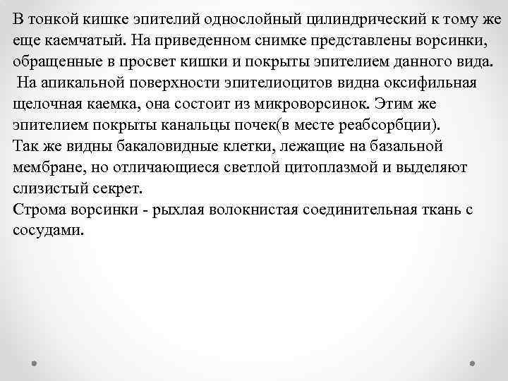 В тонкой кишке эпителий однослойный цилиндрический к тому же еще каемчатый. На приведенном снимке