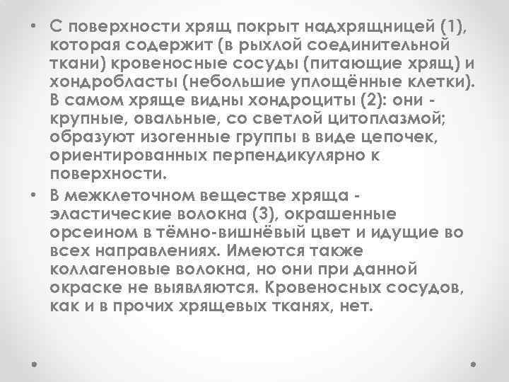  • С поверхности хрящ покрыт надхрящницей (1), которая содержит (в рыхлой соединительной ткани)