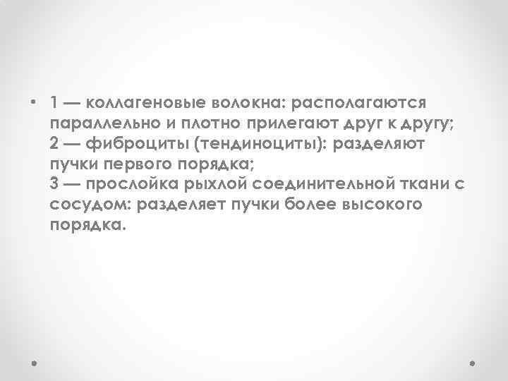  • 1 — коллагеновые волокна: располагаются параллельно и плотно прилегают друг к другу;