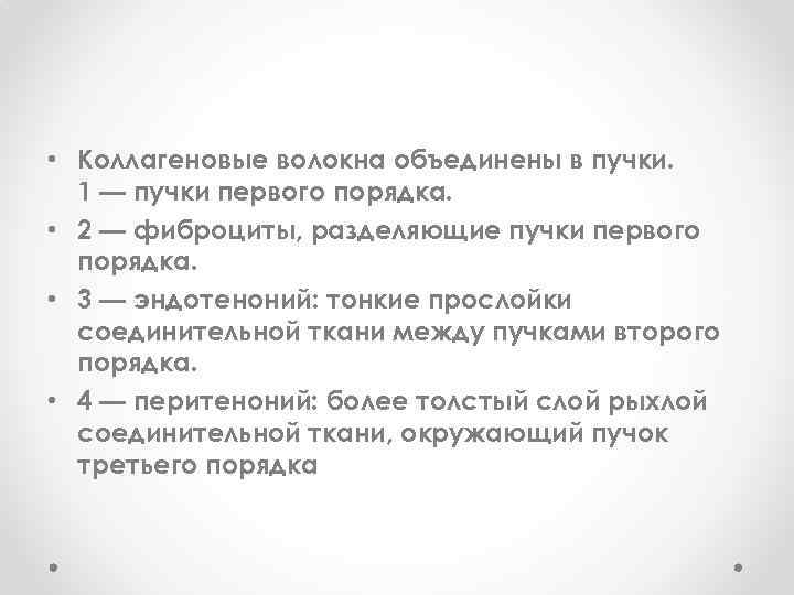  • Коллагеновые волокна объединены в пучки. 1 — пучки первого порядка. • 2