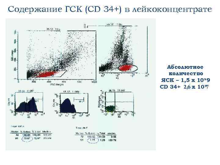 Содержание ГСК (CD 34+) в лейкоконцентрате Абсолютное количество ЯСК – 1, 5 х 10*9