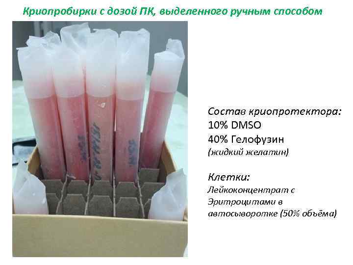 Криопробирки с дозой ПК, выделенного ручным способом Состав криопротектора: 10% DMSO 40% Гелофузин (жидкий