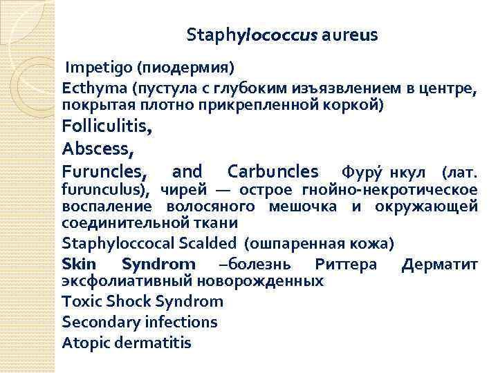 Staphylococcus aureus Impetigo (пиодермия) Ecthyma (пустула с глубоким изъязвлением в центре, покрытая плотно прикрепленной