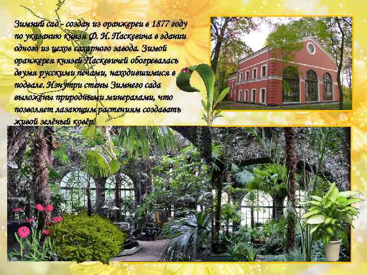 Зимний сад - создан из оранжереи в 1877 году по указанию князя Ф. И.