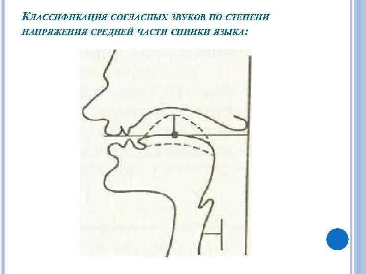 КЛАССИФИКАЦИЯ СОГЛАСНЫХ ЗВУКОВ ПО СТЕПЕНИ НАПРЯЖЕНИЯ СРЕДНЕЙ ЧАСТИ СПИНКИ ЯЗЫКА: 