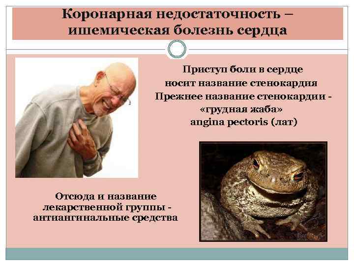 Коронарная недостаточность – ишемическая болезнь сердца Приступ боли в сердце носит название стенокардия Прежнее