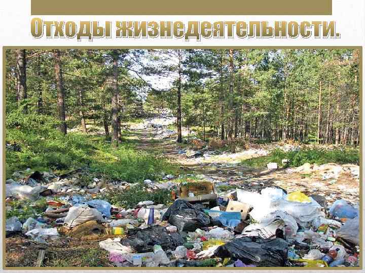 Отходы жизнедеятельности. 