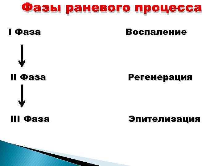 Фазы раневого процесса I Фаза Воспаление II Фаза Регенерация III Фаза Эпителизация 