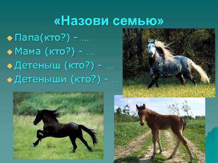  «Назови семью» u Папа(кто? ) -… u Мама (кто? ) - … u