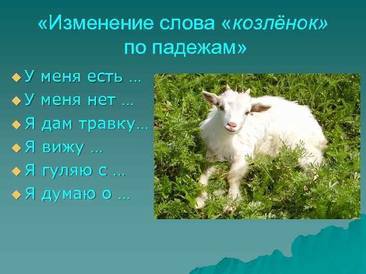  «Изменение слова «козлёнок» по падежам» u. У меня есть … u У меня