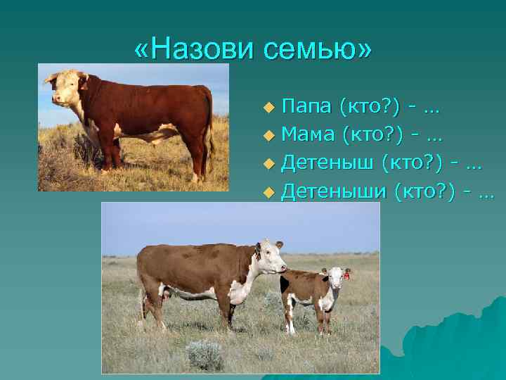  «Назови семью» Папа (кто? ) - … u Мама (кто? ) - …