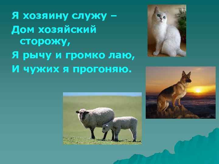 Я хозяину служу – Дом хозяйский сторожу, Я рычу и громко лаю, И чужих