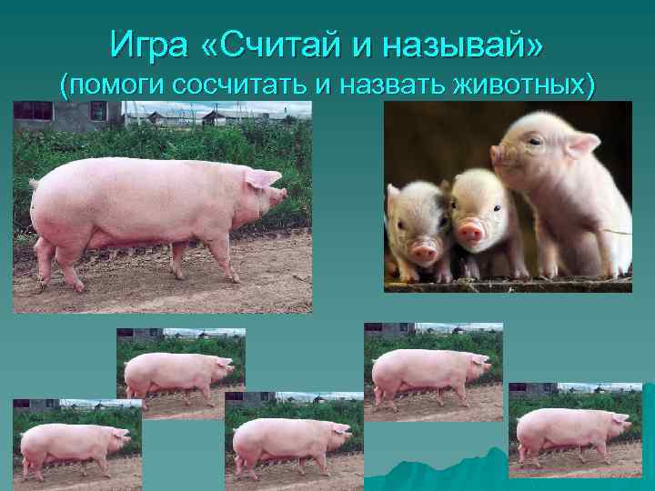 Игра «Считай и называй» (помоги сосчитать и назвать животных) 