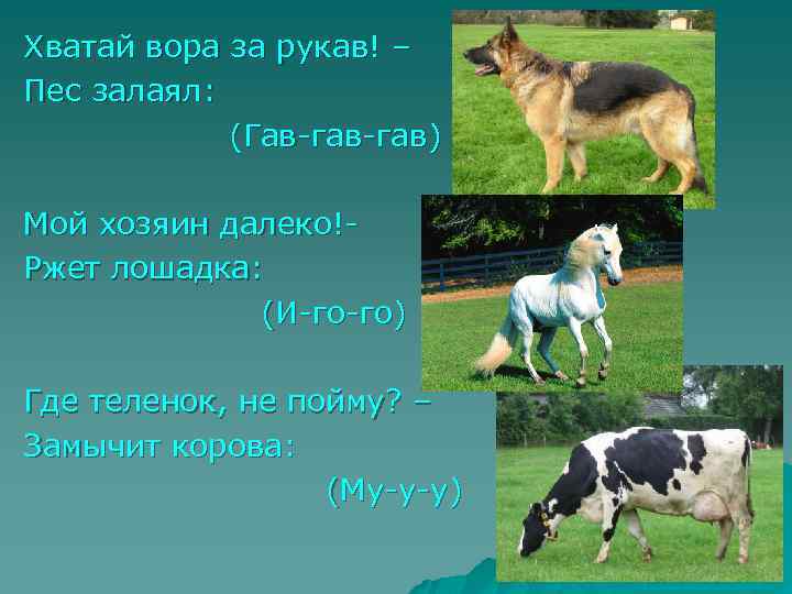 Хватай вора за рукав! – Пес залаял: (Гав-гав) Мой хозяин далеко!Ржет лошадка: (И-го-го) Где