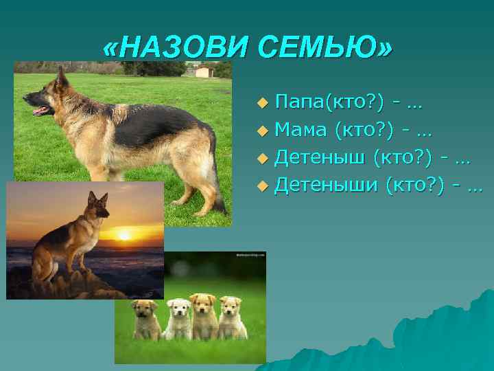  «НАЗОВИ СЕМЬЮ» Папа(кто? ) - … u Мама (кто? ) - … u