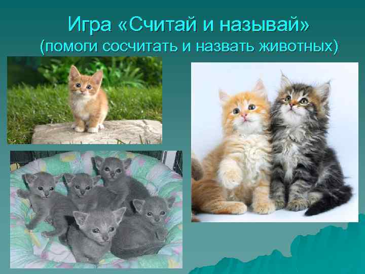 Игра «Считай и называй» (помоги сосчитать и назвать животных) 
