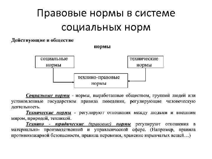 Правовые нормы в системе социальных норм 