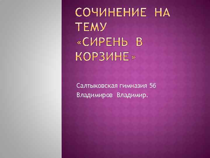 Салтыковская гимназия 5 б Владимиров Владимир. 
