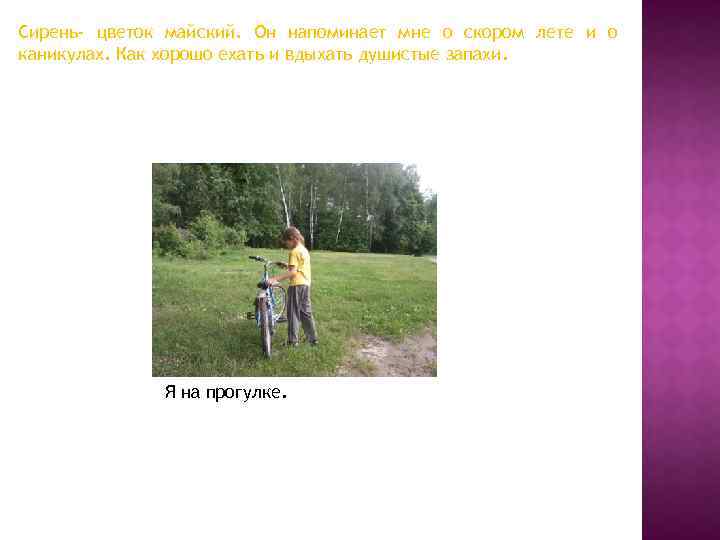 Сирень- цветок майский. Он напоминает мне о скором лете и о каникулах. Как хорошо