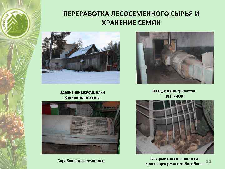 ПЕРЕРАБОТКА ЛЕСОСЕМЕННОГО СЫРЬЯ И ХРАНЕНИЕ СЕМЯН Здание шишкосушилки Калининского типа Барабан шишкосушилки Воздухоподогреватель ВПТ