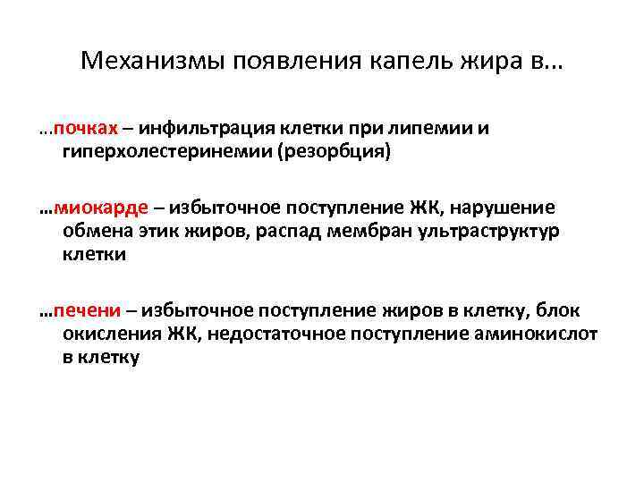 Механизмы появления капель жира в… …почках – инфильтрация клетки при липемии и гиперхолестеринемии (резорбция)