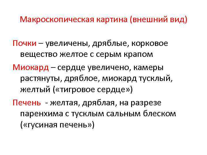 Макроскопическая картина (внешний вид) Почки – увеличены, дряблые, корковое вещество желтое с серым крапом