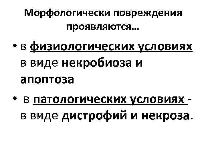 Морфологически повреждения проявляются… • в физиологических условиях в виде некробиоза и апоптоза • в