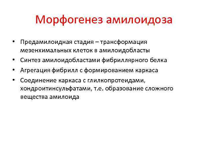 Морфогенез амилоидоза • Предамилоидная стадия – трансформация мезенхимальных клеток в амилоидобласты • Синтез амилоидобластами