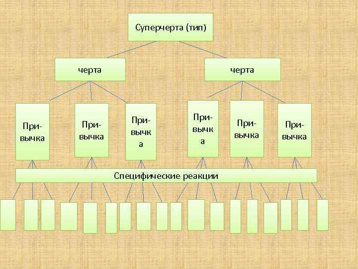 Суперчерта (тип) черта Привычка черта Привычк а Специфические реакции Привычка 