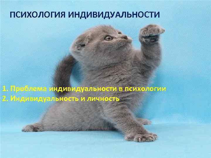 ПСИХОЛОГИЯ ИНДИВИДУАЛЬНОСТИ 1. Проблема индивидуальности в психологии 2. Индивидуальность и личность 
