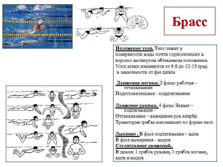 Брасс методика обучения