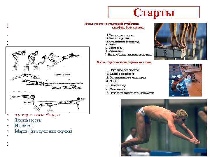 Старты Фазы старта со стартовой тумбочки: дельфин, брасс, кроль • • • 1. Исходное