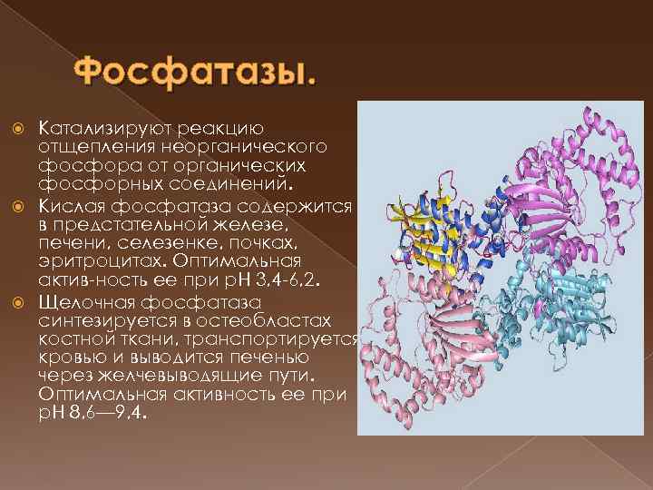 Фосфатаза реакции. Фосфатаза катализирует реакцию. Активность кислой фосфатазы. Кислая фосфатаза реакция. Реакция кислая фосфатаза в крови.