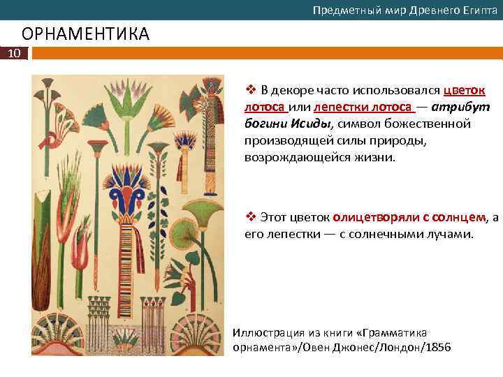 Предметный мир Древнего Египта ОРНАМЕНТИКА 10 v В декоре часто использовался цветок лотоса или