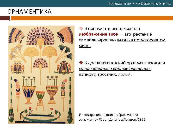 Предметный мир Древнего Египта ОРНАМЕНТИКА v В орнаменте использовали изображение алоэ — это растение