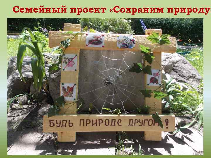 Семейный проект «Сохраним природу» 