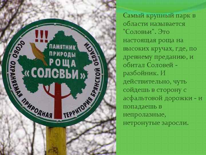 Самый крупный парк в области называется 