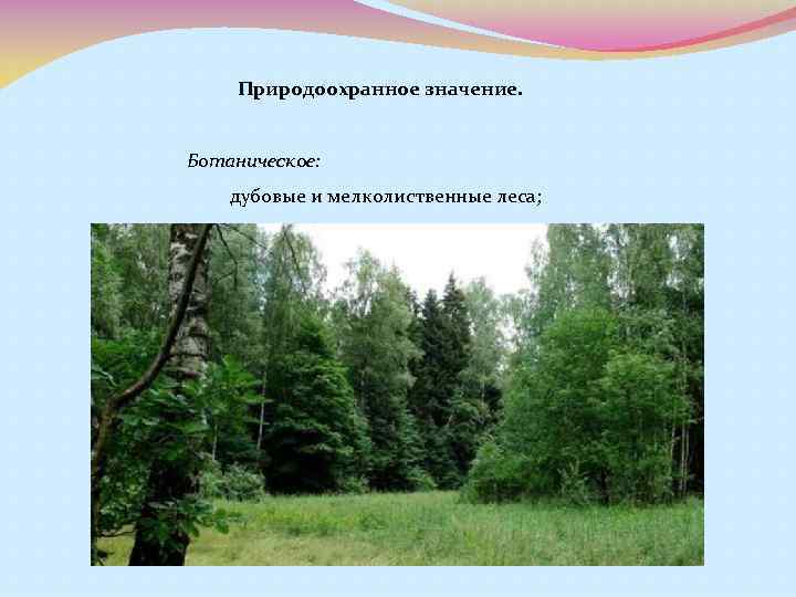 Природоохранное значение. Ботаническое: дубовые и мелколиственные леса; 
