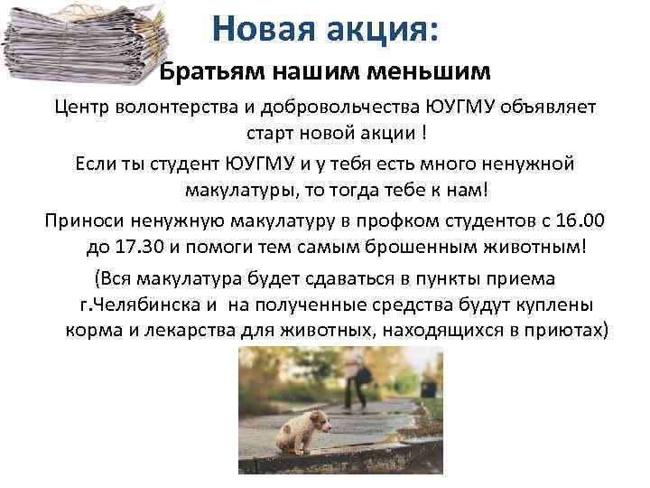 Новая акция: Братьям нашим меньшим Центр волонтерства и добровольчества ЮУГМУ объявляет старт новой акции