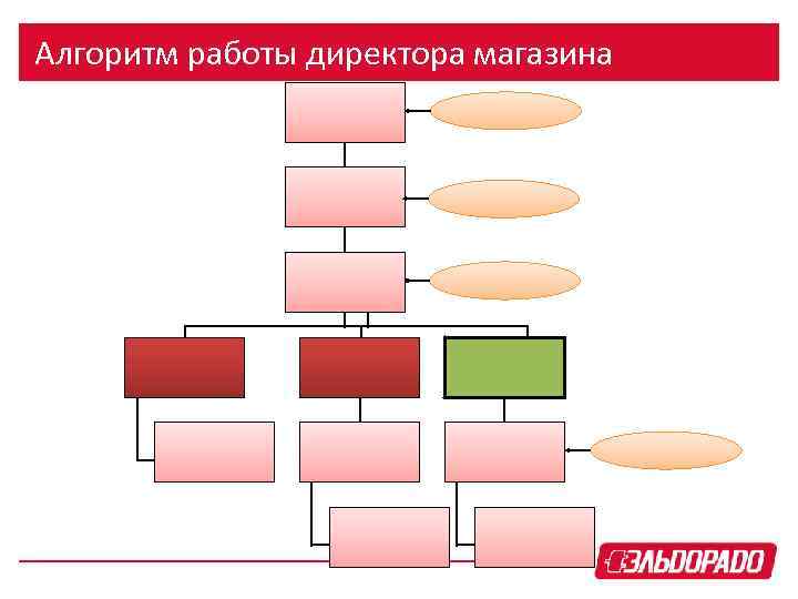 Алгоритм работы директора магазина 