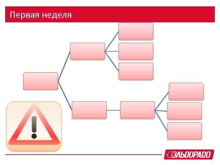 Первая неделя 