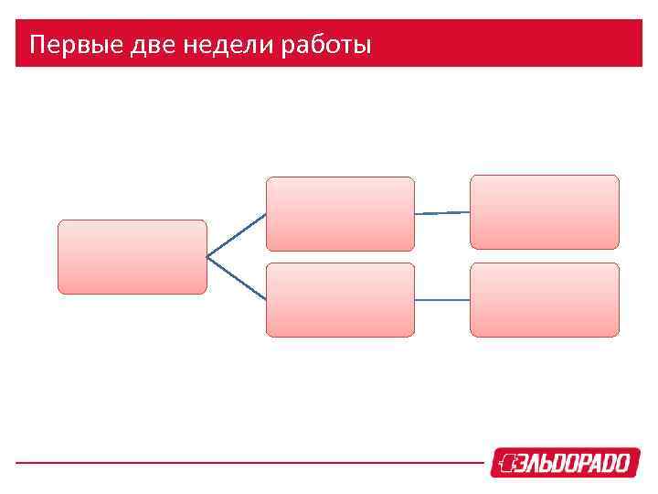 Первые две недели работы 
