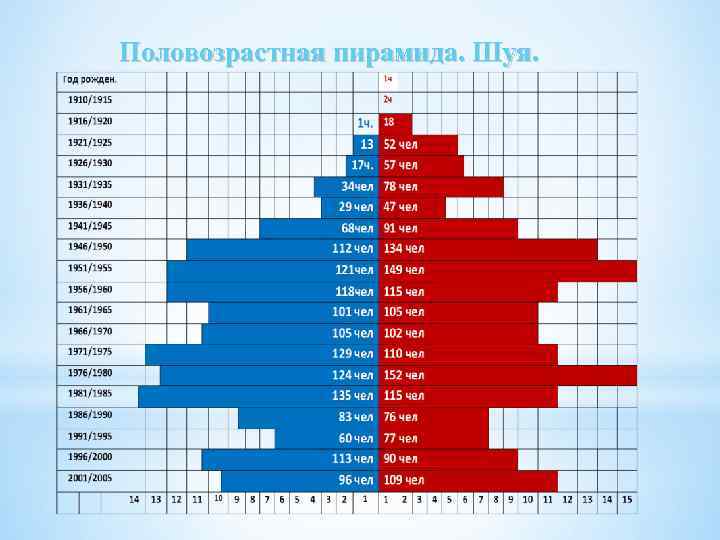 Половозрастная пирамида. Шуя. 