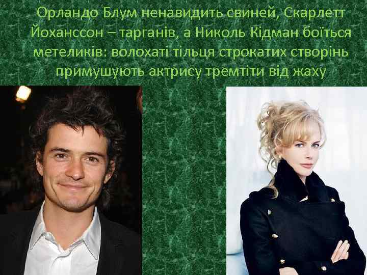 Орландо Блум ненавидить свиней, Скарлетт Йоханссон – тарганів, а Николь Кідман боїться метеликів: волохаті