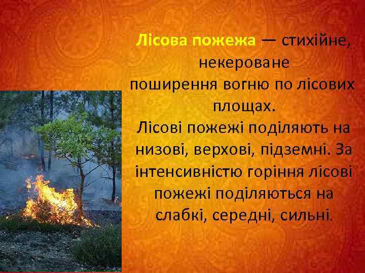 Лісова пожежа — стихійне, некероване поширення вогню по лісових площах. Лісові пожежі поділяють на