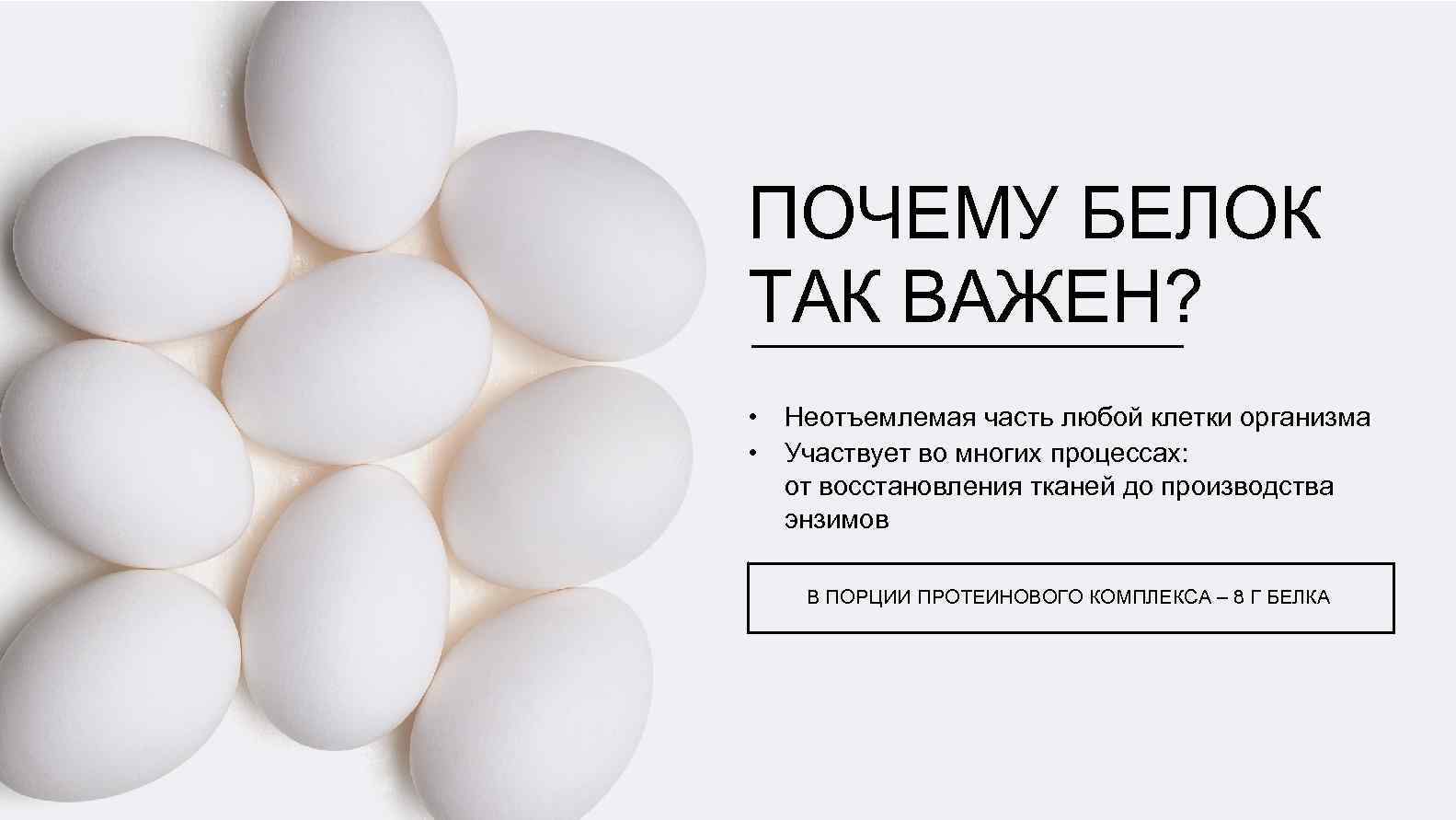 ПОЧЕМУ БЕЛОК ТАК ВАЖЕН? • Неотъемлемая часть любой клетки организма • Участвует во многих