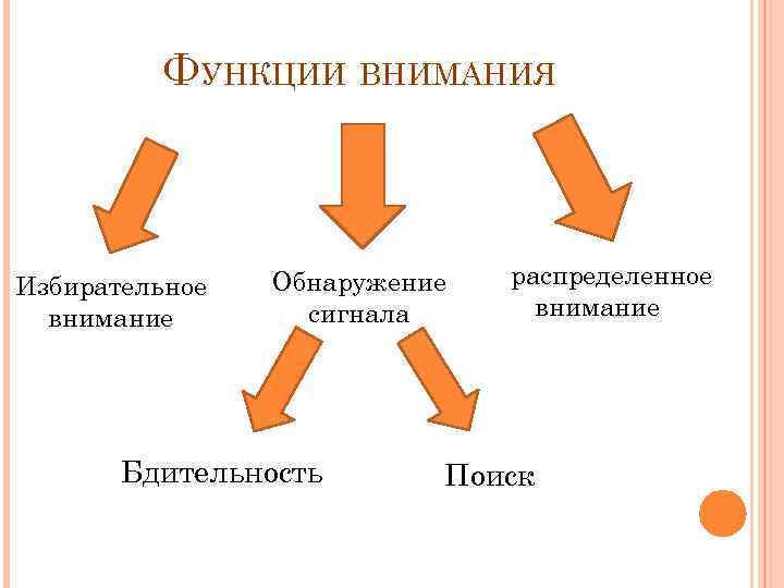 Схемы внимания. Функции внимания в психологии. Основные функции внимания в психологии. Функции внимания в психологии схема. Каковы основные функции внимания.