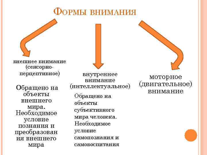 Высшие формы внимания. Виды внимания внешнее и внутреннее. Формы проявления внимания в психологии. Сравните между собой внешнее и внутреннее внимание..