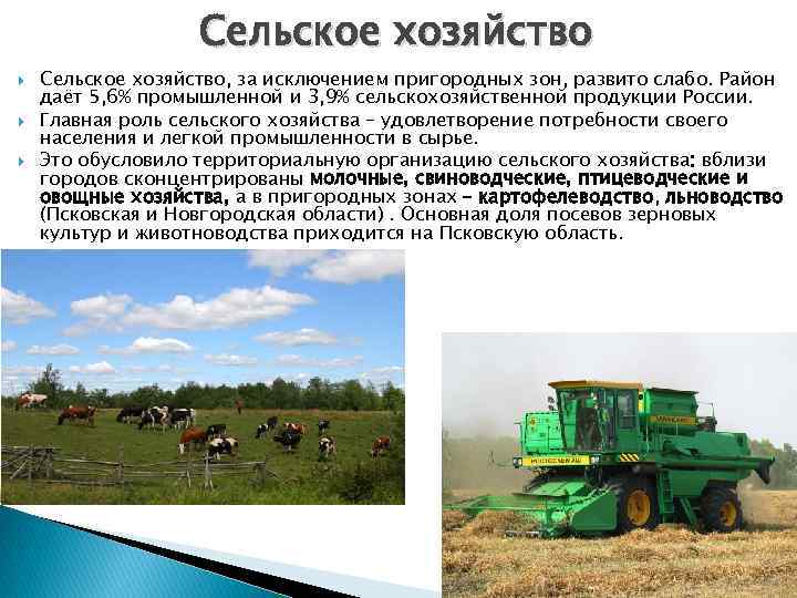 Сельское хозяйство Сельское хозяйство, за исключением пригородных зон, развито слабо. Район даёт 5, 6%